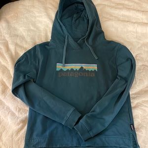 Teal Cropped Patagonia Hoodie